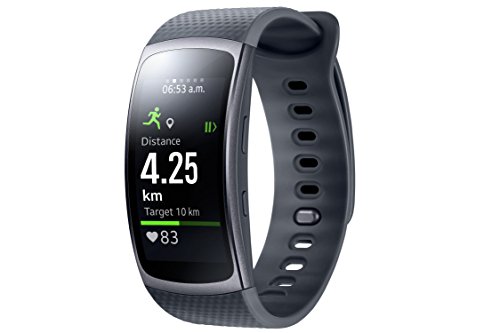 Samsung Gear Fit 2 Smartwatch mit Pulssensor und Benachrichtigungen - Dunkelgrau (L)