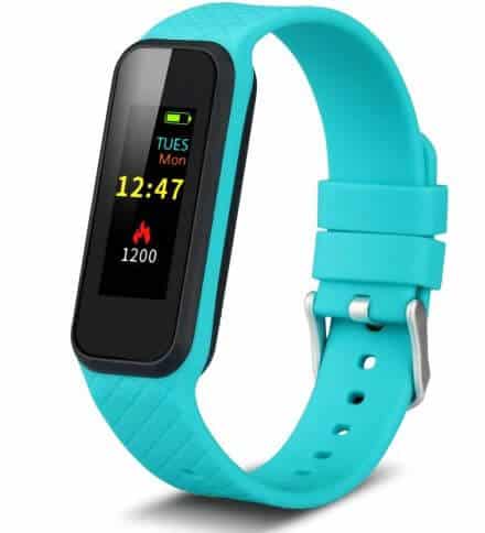 Inchor Wristfit HR2